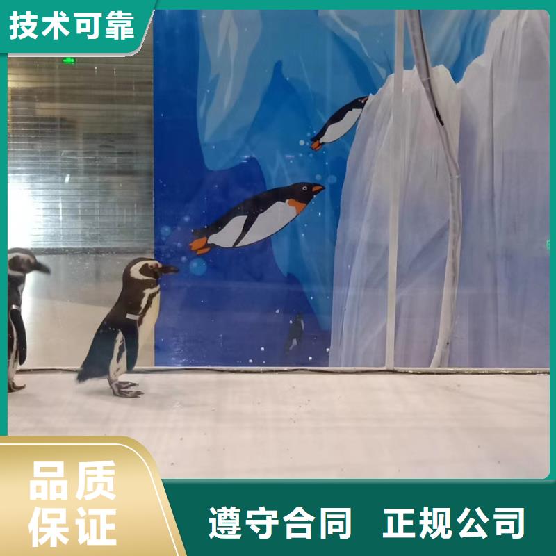 衢州同城企鹅出租主题展览
