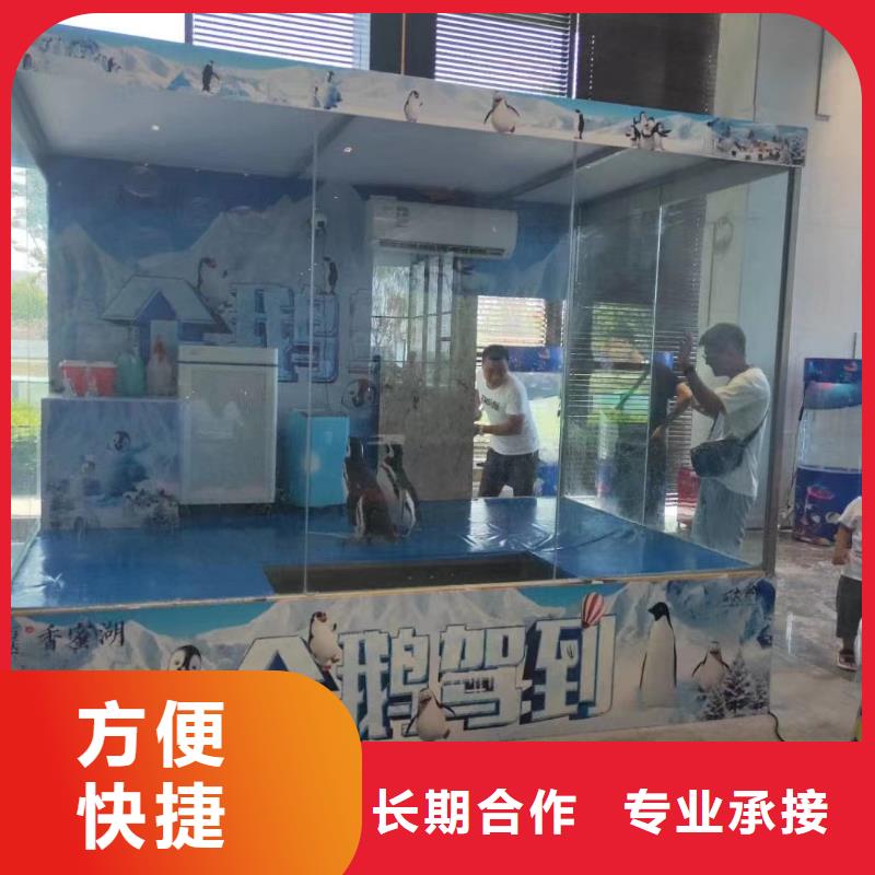 海洋主题动物表演_动物表演租赁技术可靠