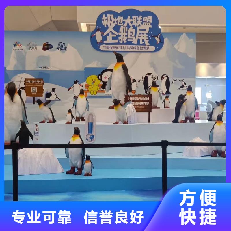 海洋主题动物表演_动物表演租赁技术可靠