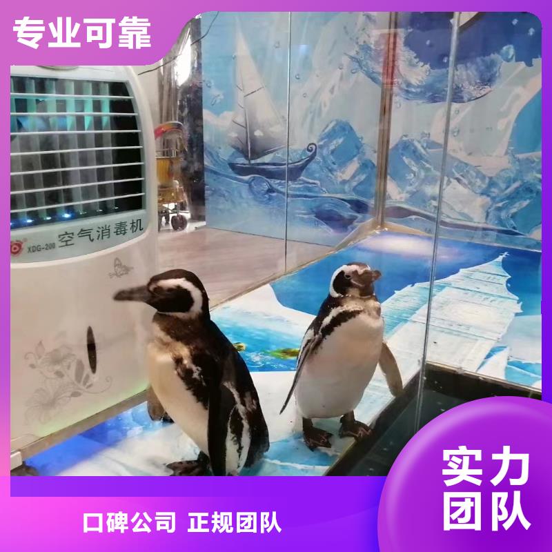 海洋生物展出租实力强