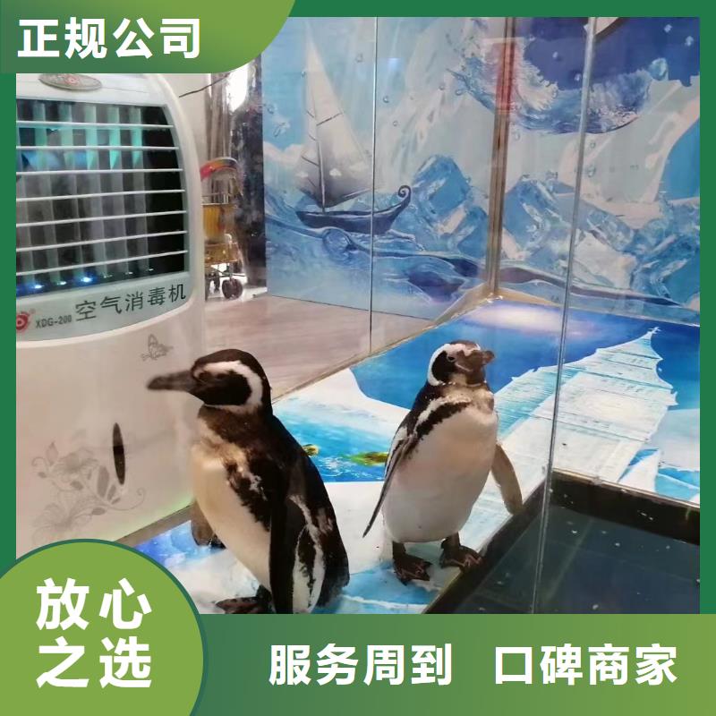 出租海洋生物展质量可靠