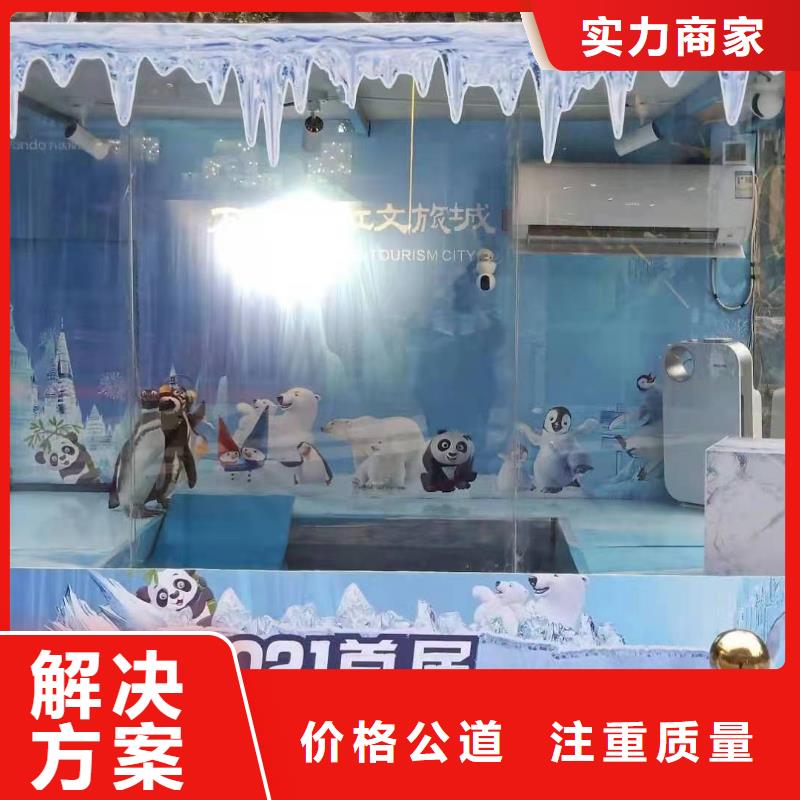 海洋主题动物表演表演动物出租讲究信誉