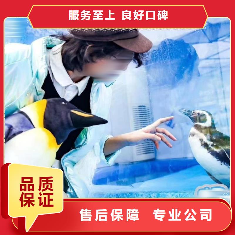 海洋生物展出租-海洋生物展出租厂家批发