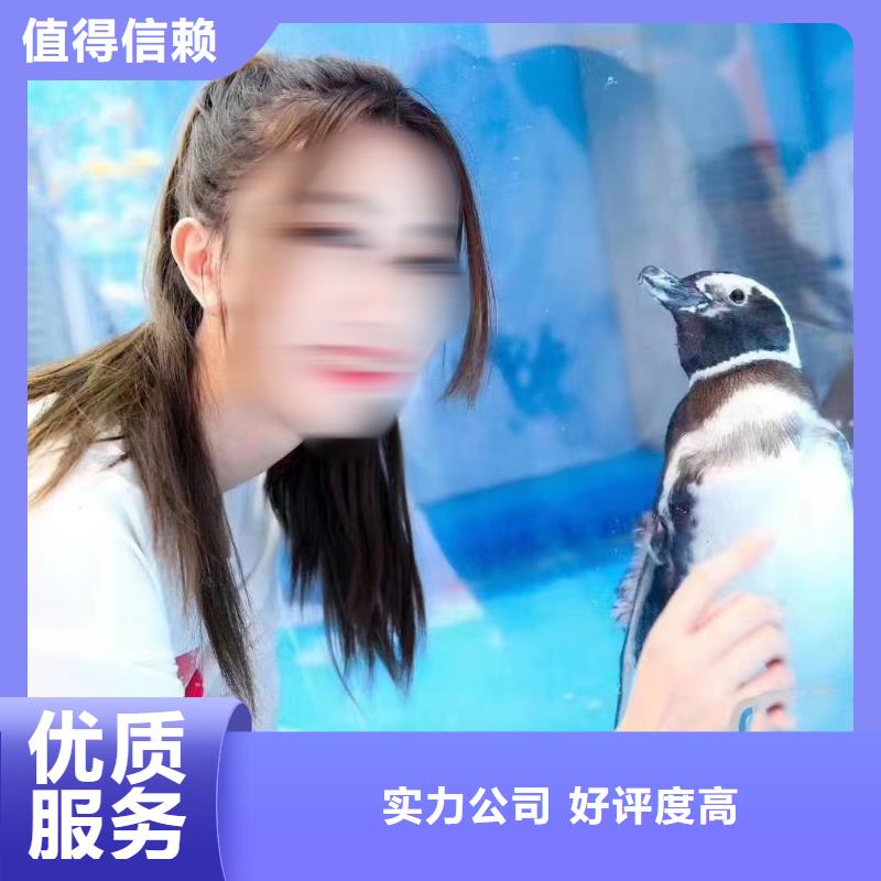 海洋主题动物表演小香猪宠物出租24小时为您服务