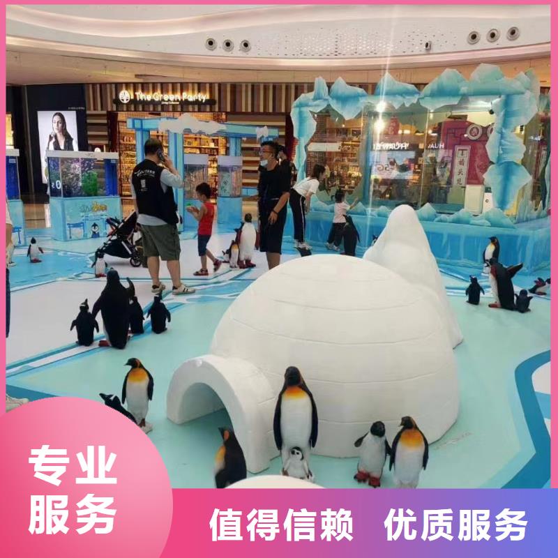 海洋主题动物表演,海洋展租赁24小时为您服务