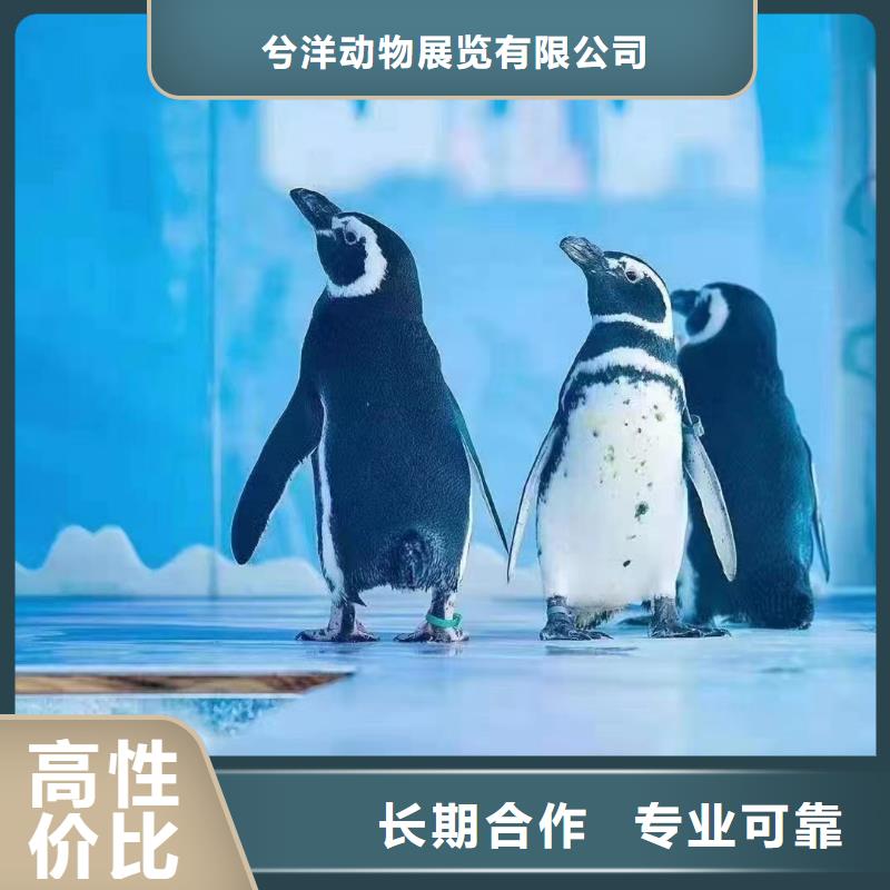 海洋生物鱼缸展出租暖场氛围