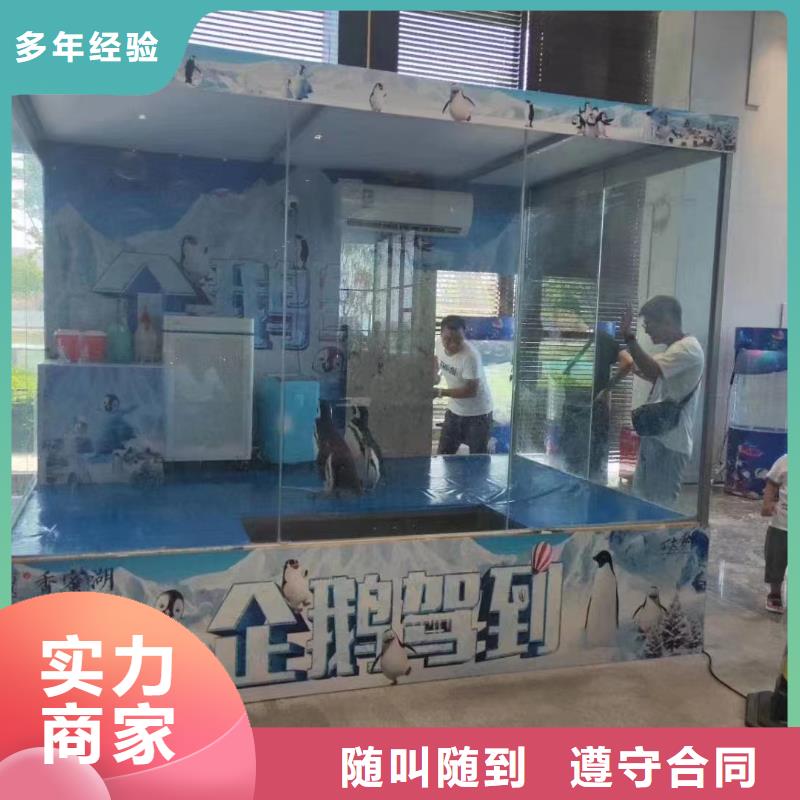 海洋主题动物表演_出租表演鹦鹉信誉保证