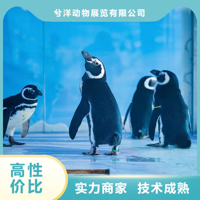 海洋生物鱼缸展出租活动庆典