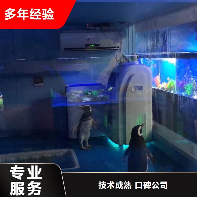 海洋主题动物表演出租表演萌宠一站式服务