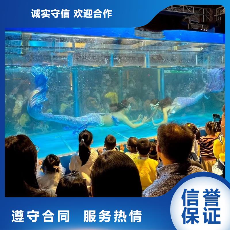 海洋主题动物表演美人鱼表演2025公司