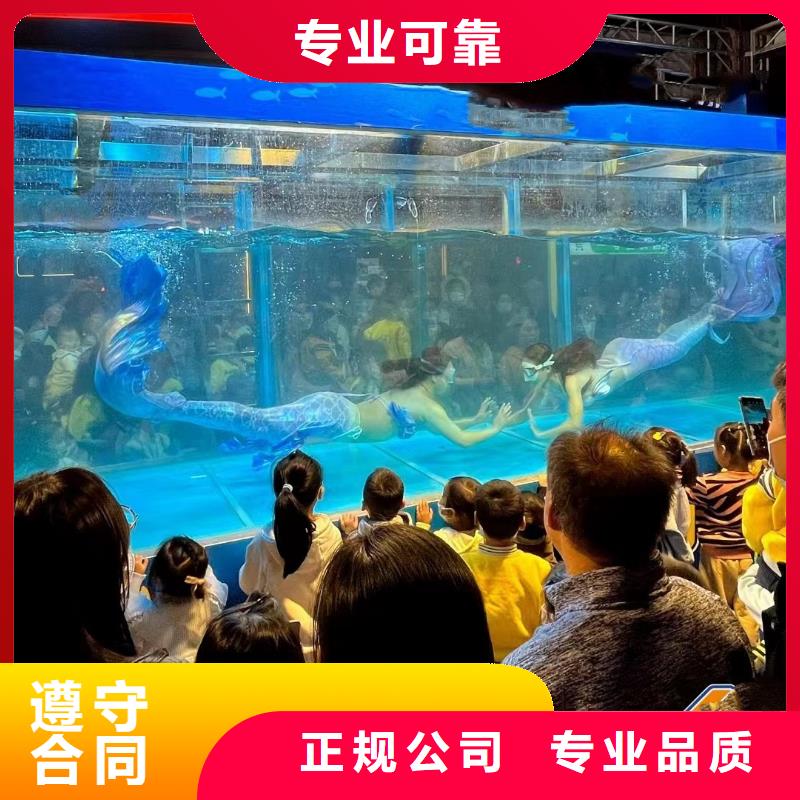 海洋主题动物表演【羊驼出租】专业可靠