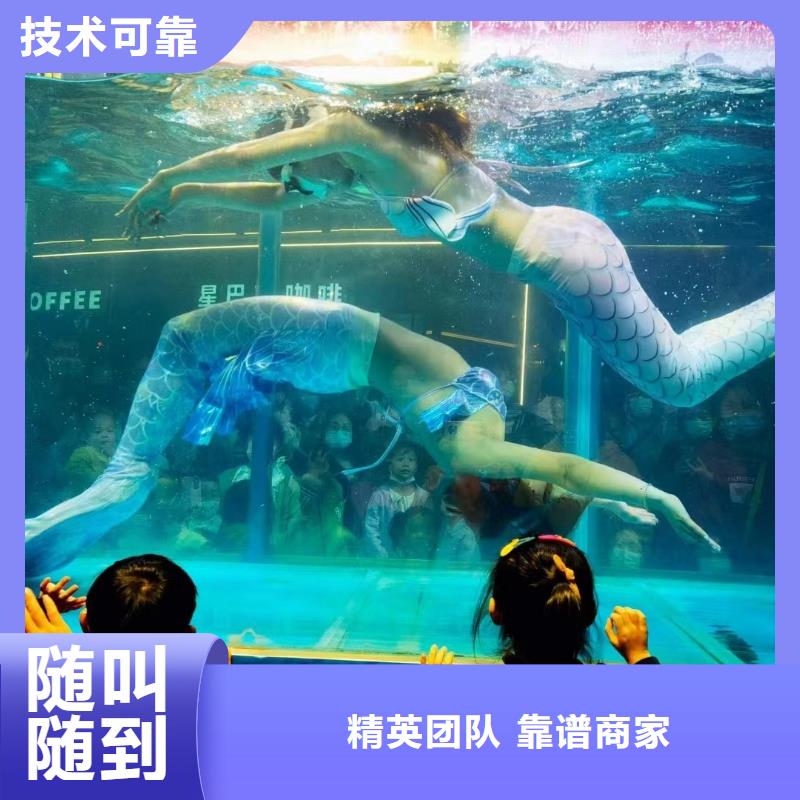 海洋主题动物表演景区杂技表演优质服务