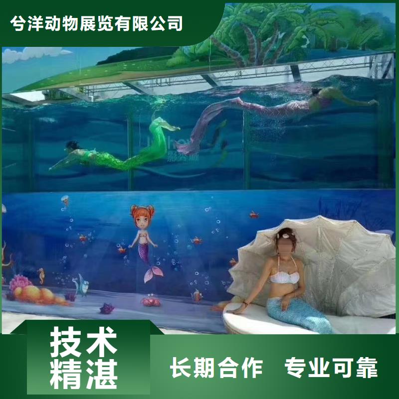 海洋主题动物表演_【美人鱼出租演出】技术好