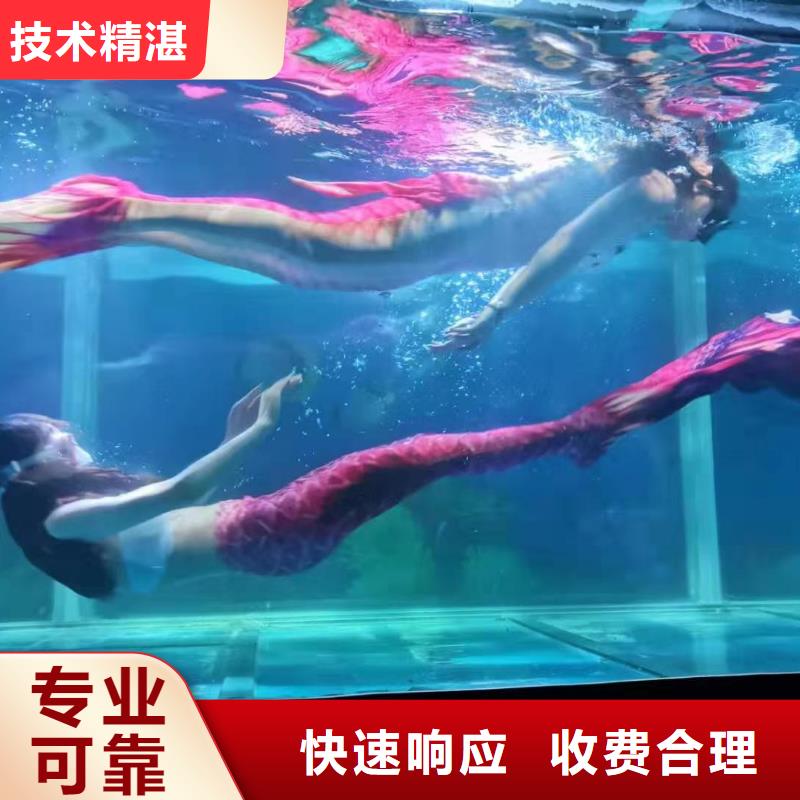 海洋主题动物表演_租赁美人鱼表演解决方案