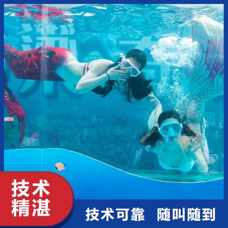 海洋主题动物表演【出租表演企鹅】公司