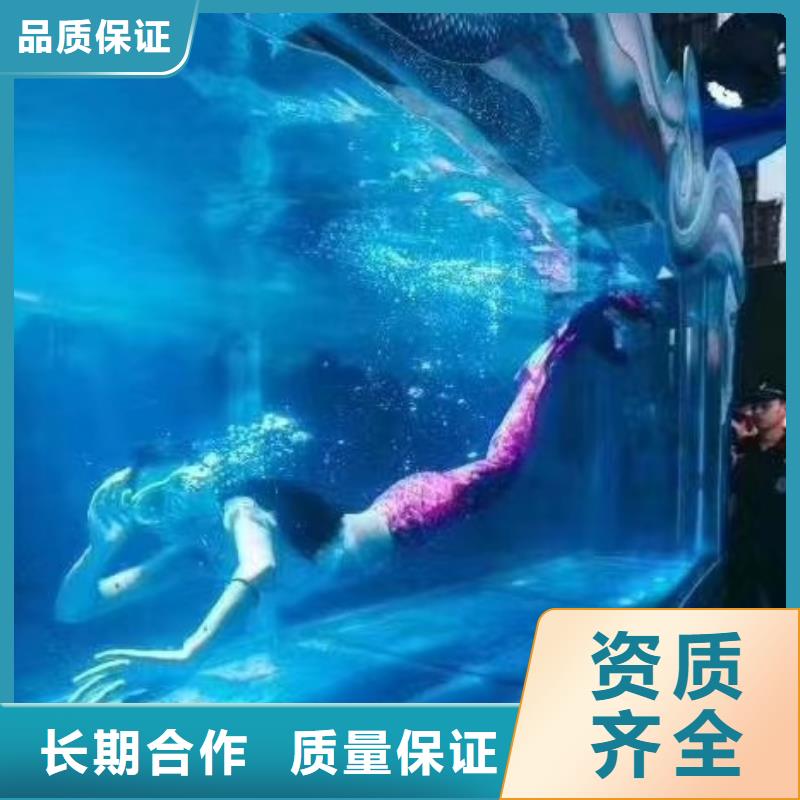 海洋主题动物表演_观赏性羊驼租赁拒绝虚高价