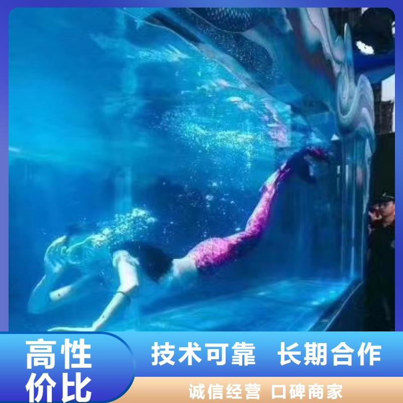 海洋主题动物表演,【美人鱼表演】快速响应