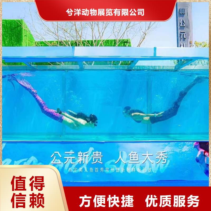 实力雄厚的海洋生物展出租生产厂家