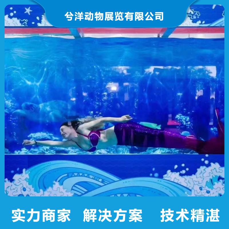 海洋主题动物表演羊驼表演实力公司