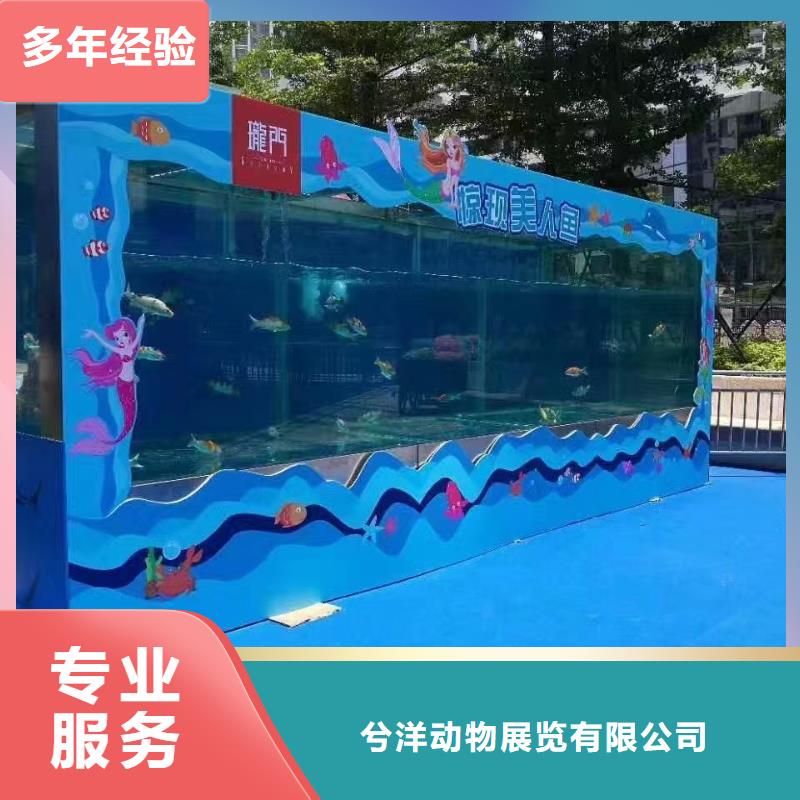 海洋展出租附近