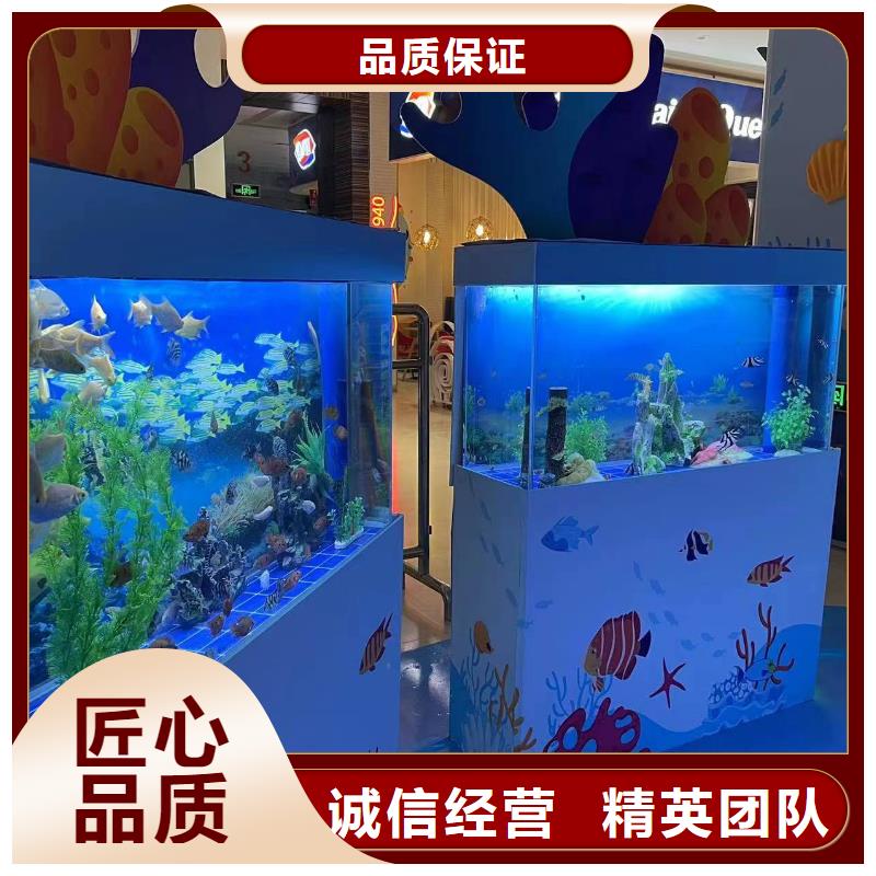 【海洋主题动物表演 吉祥百鸟展效果满意为止】