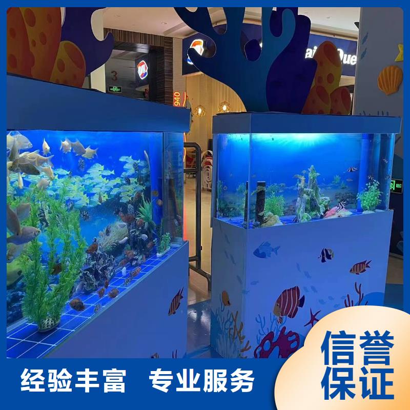 海洋主题动物表演_【【企鹅表演】】知名公司