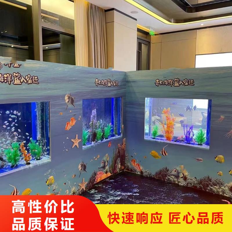 海洋主题动物表演,出租表演萌宠快捷