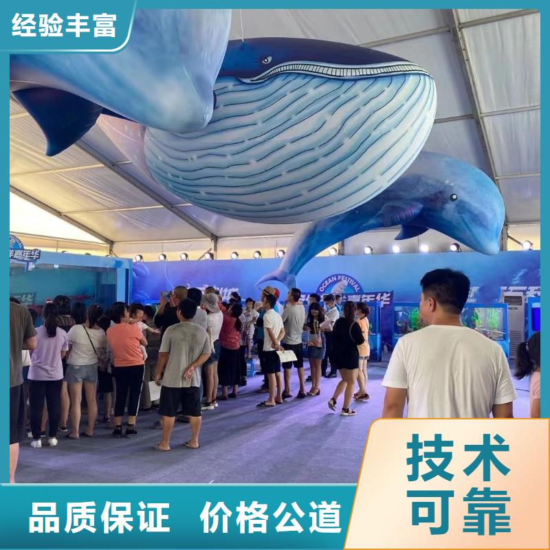 海洋主题动物表演 马戏团表演多年经验