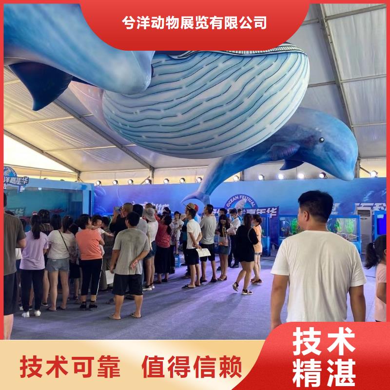 海洋主题动物表演海洋展租赁效果满意为止