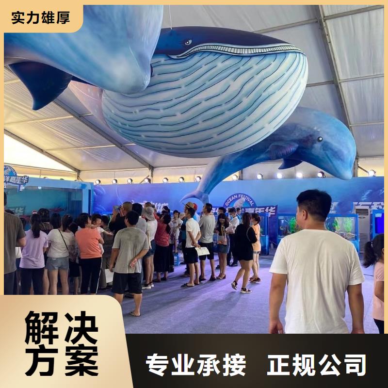 出租海洋生物展质量可靠