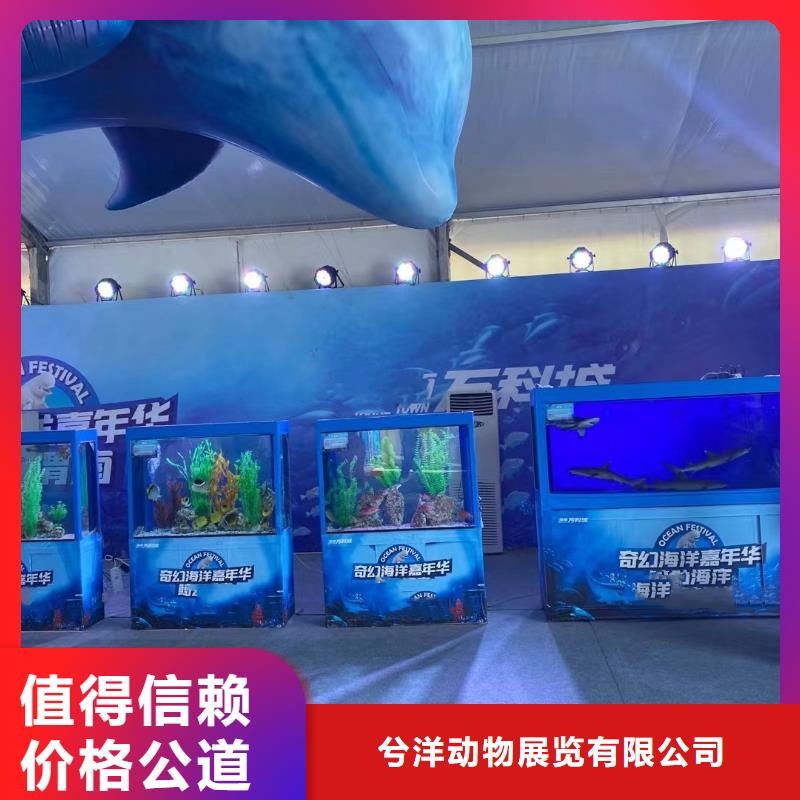 海洋主题动物表演马戏团表演出租租赁品质保证