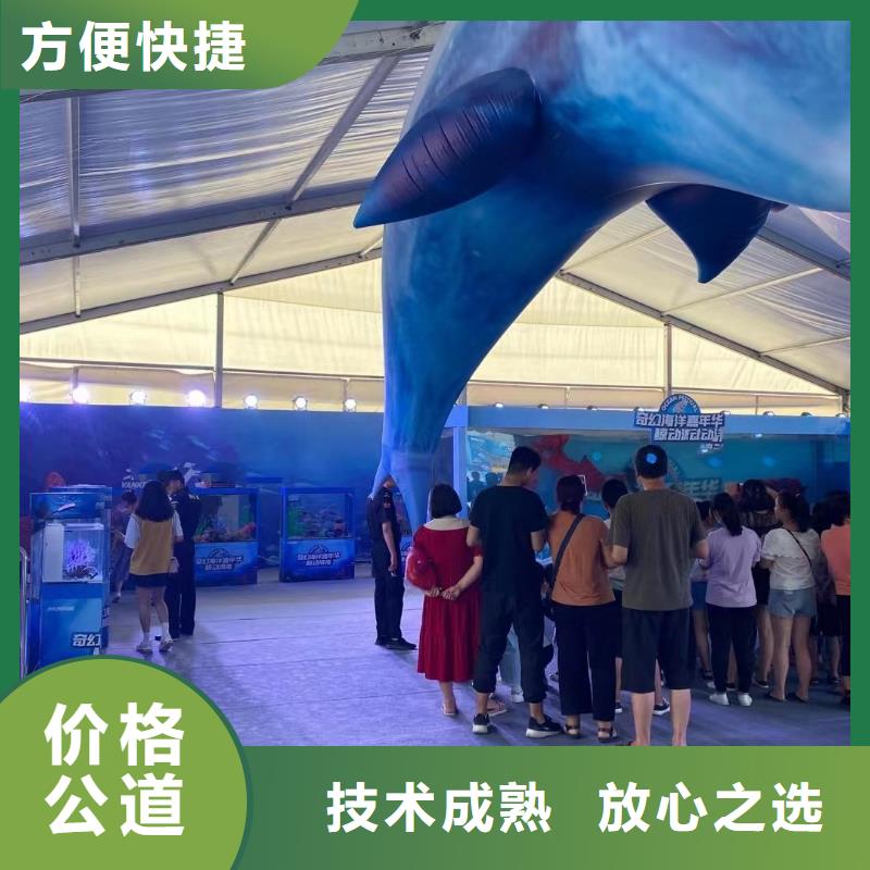 海洋主题动物表演美人鱼表演专业服务