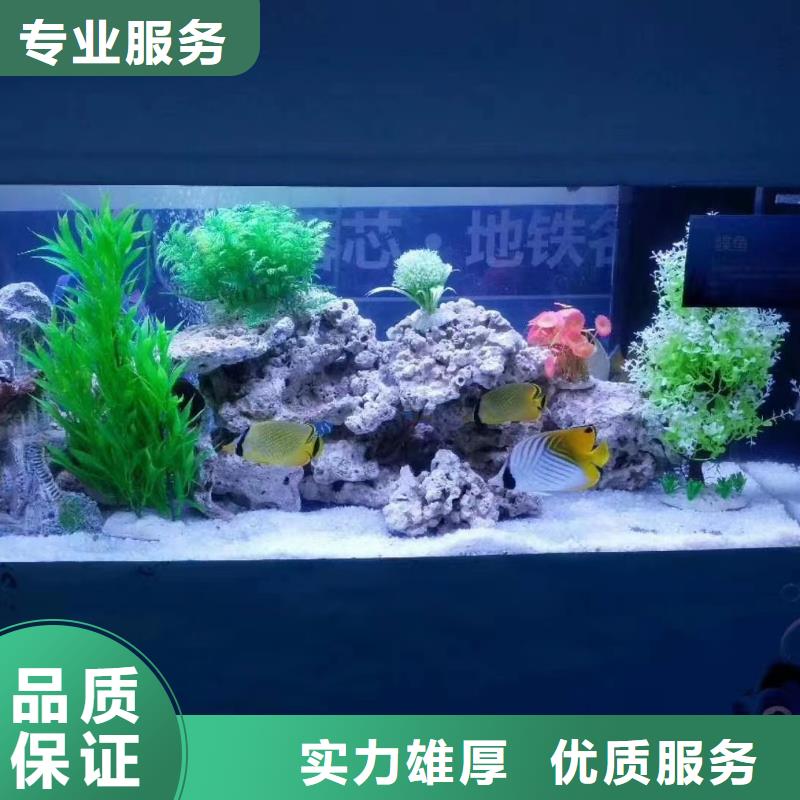 海洋生物鱼缸展出租免费资源