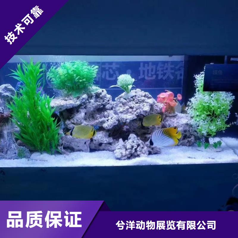 海洋生物鱼缸展出租活动庆典