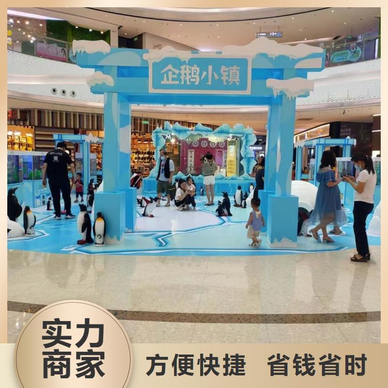 海洋主题动物表演海狮表演出租靠谱商家