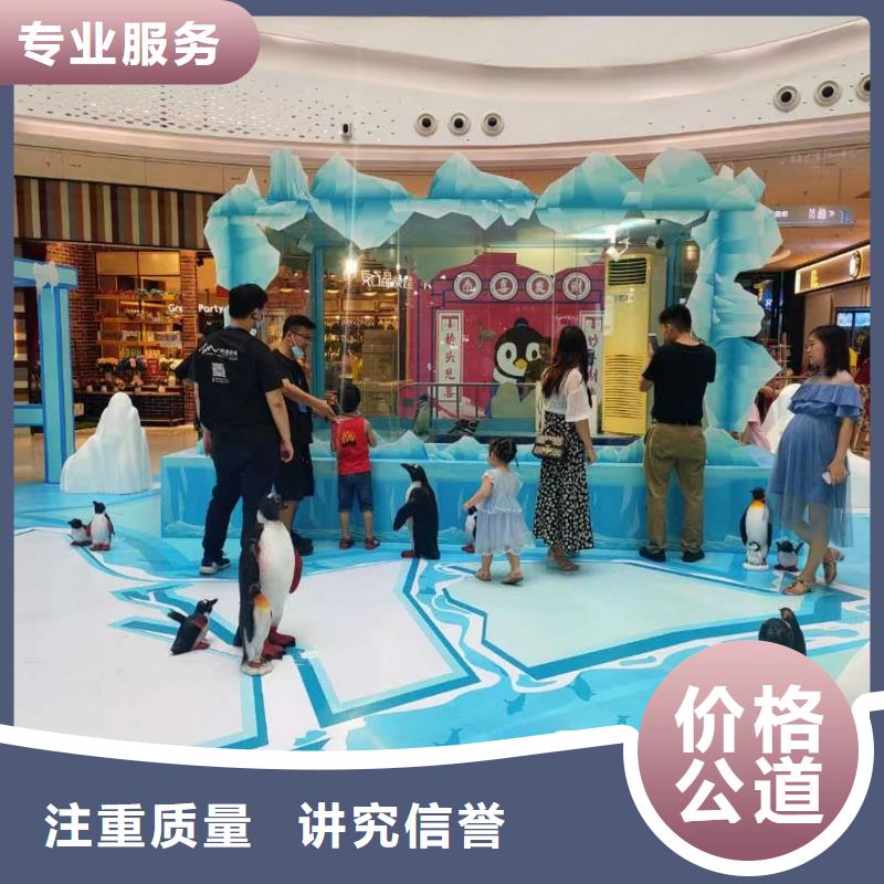 海洋主题动物表演马戏团表演注重质量