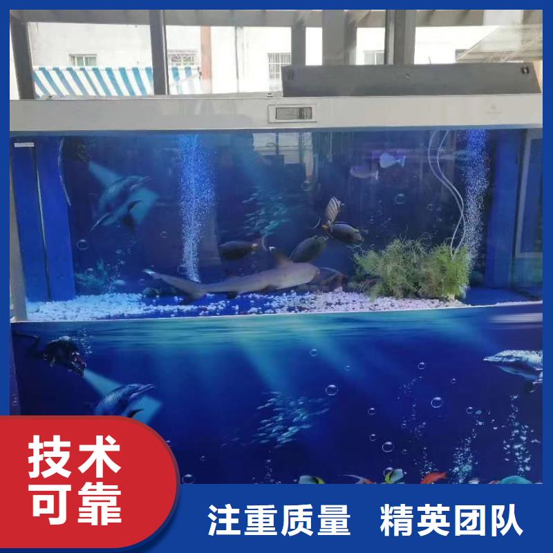 海洋主题动物表演,出租动物表演售后保障
