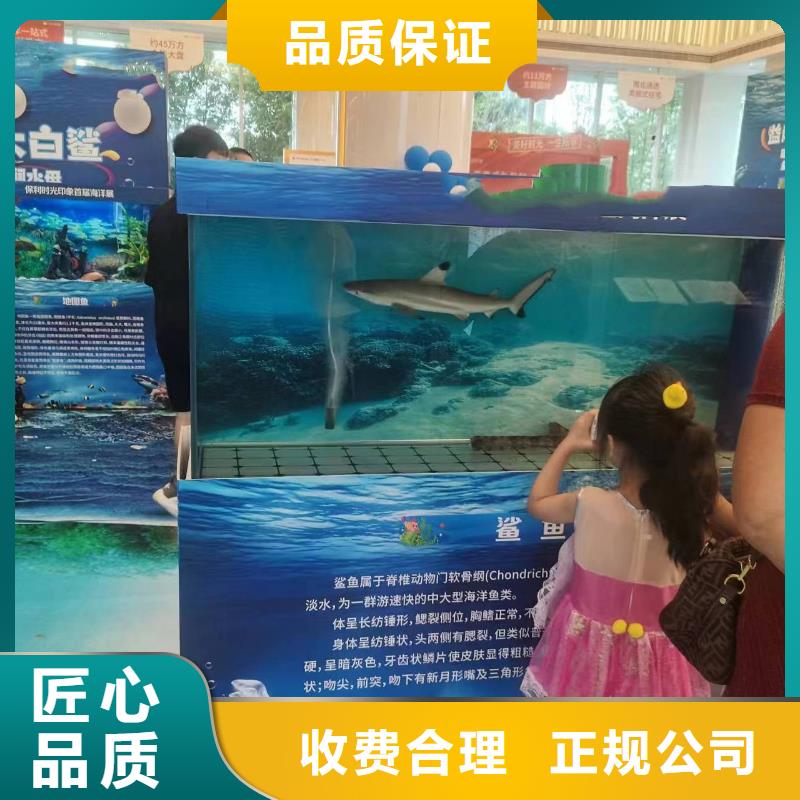【海洋主题动物表演】-海洋展租赁专业品质