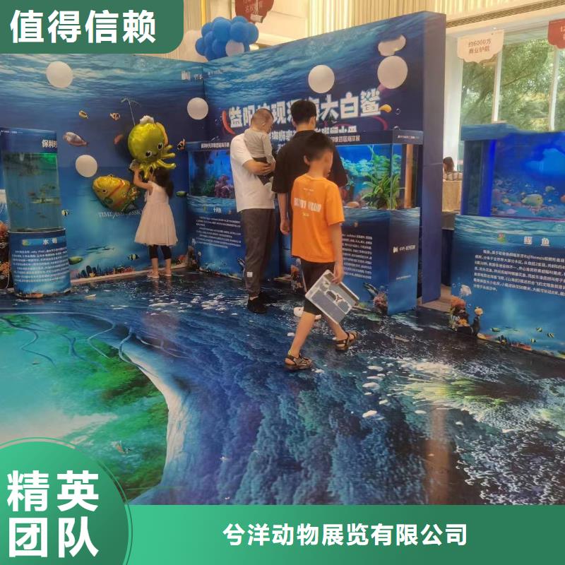海洋主题动物表演 动物展览秀口碑公司