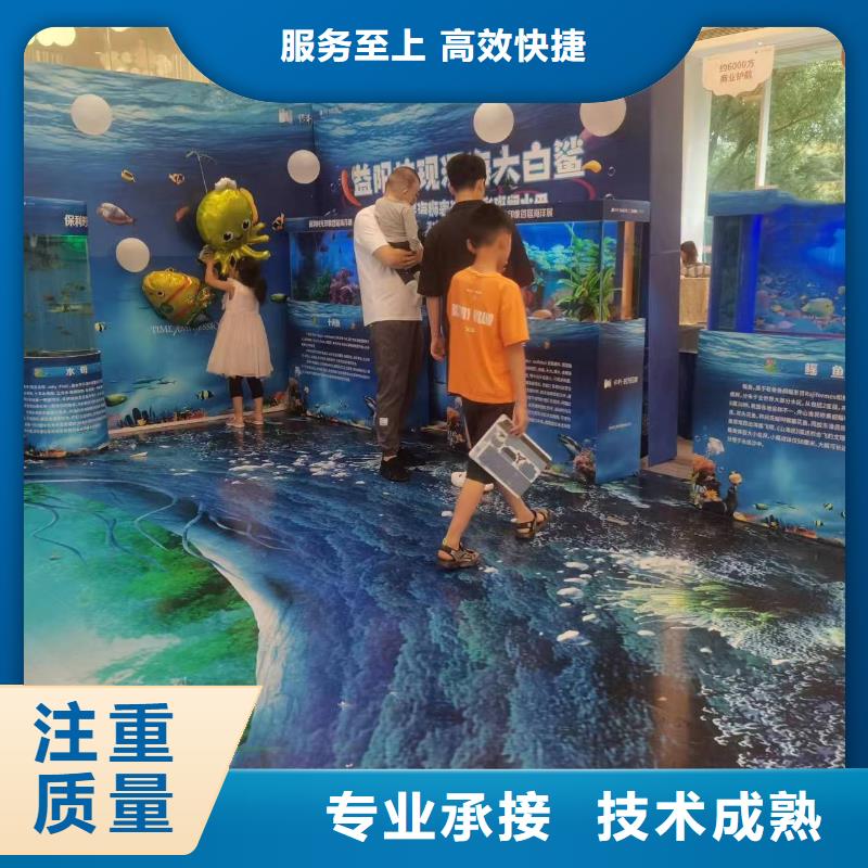 【海洋主题动物表演海狮表演租赁拒绝虚高价】