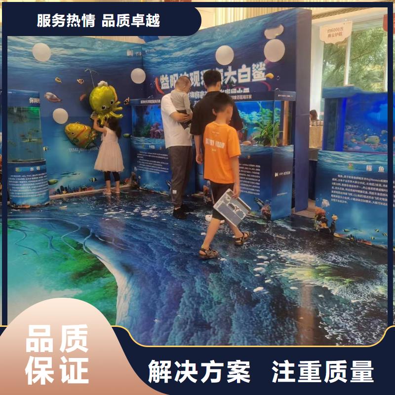海洋主题动物表演【【企鹅表演】】诚实守信