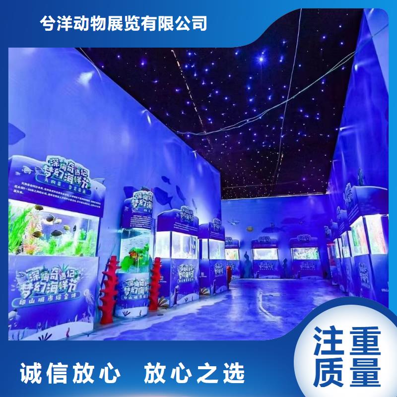 海洋主题动物表演动物展览秀经验丰富
