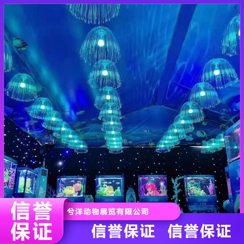 海洋展出租附近