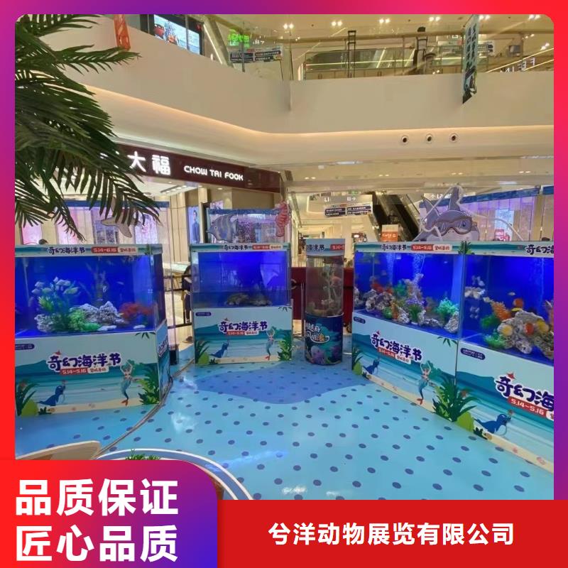 海洋生物展出租现货价格