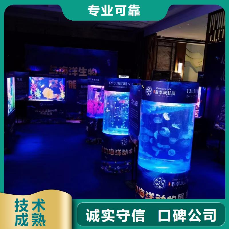 海洋主题动物表演-萌宠动物展出租正规公司