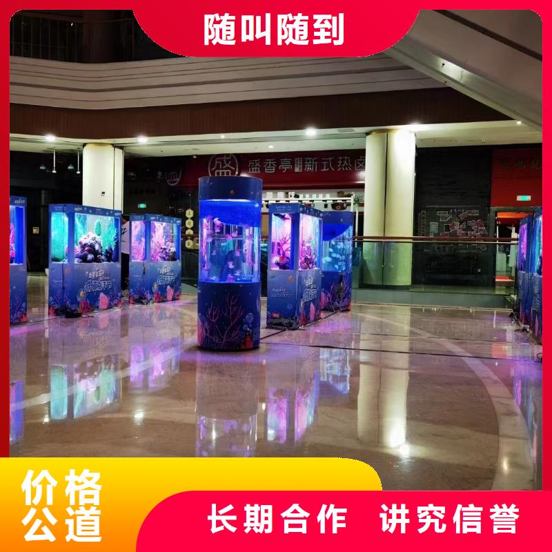 海洋主题动物表演_表演动物出租技术可靠