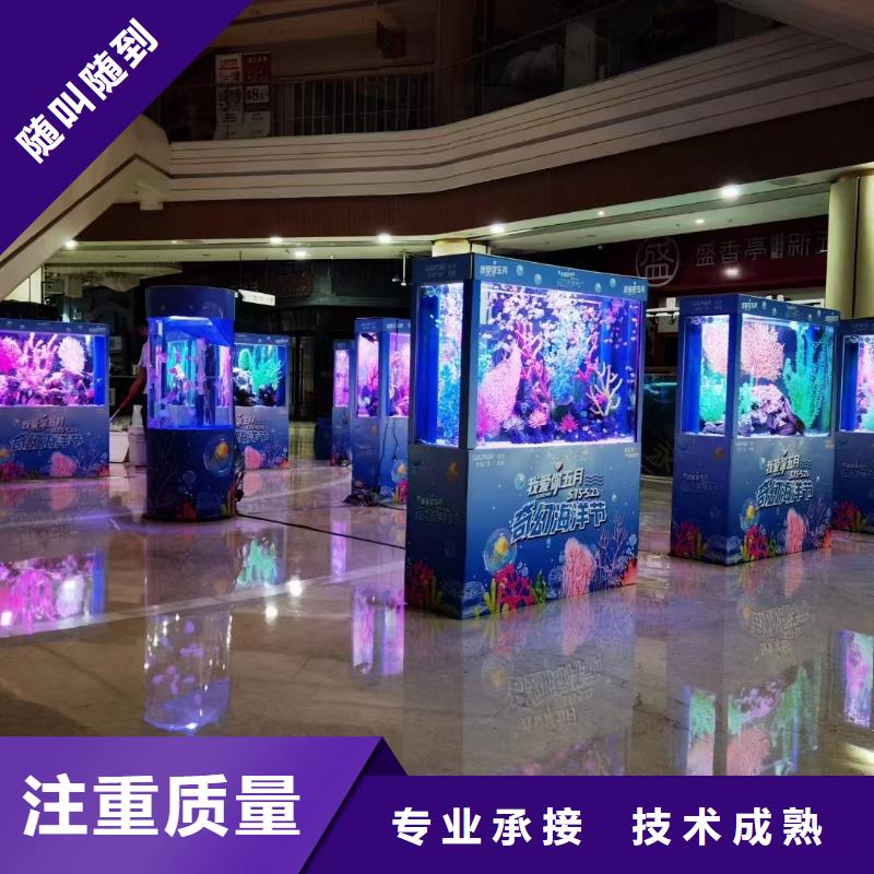 海洋主题动物表演【企鹅演出】比同行便宜