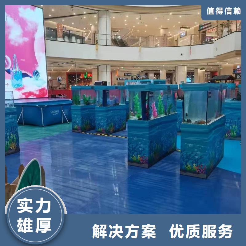 【海洋主题动物表演美人鱼表演出租快速响应】