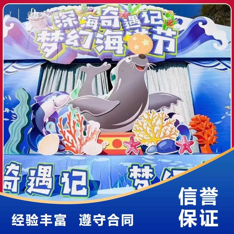 海洋主题动物表演 羊驼出租方便快捷