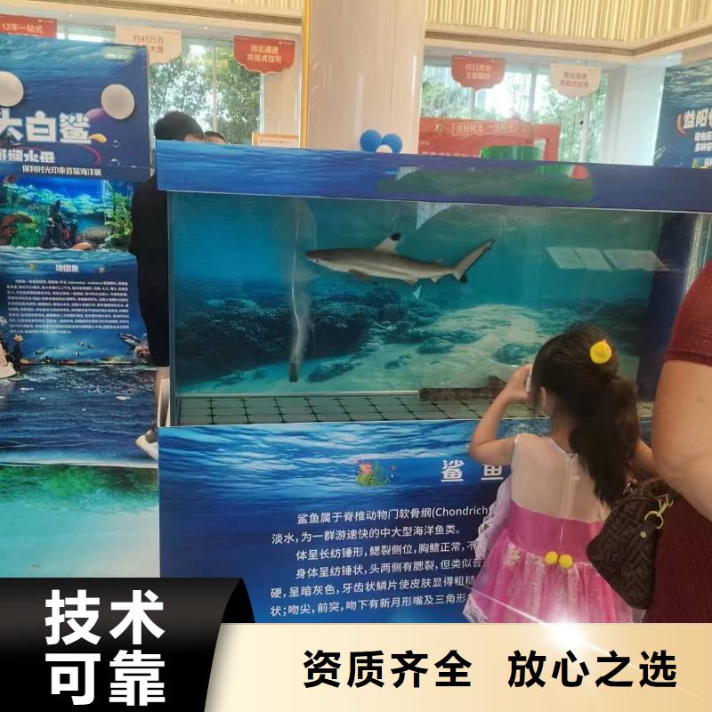 海洋主题动物表演 萌宠动物展出租团队